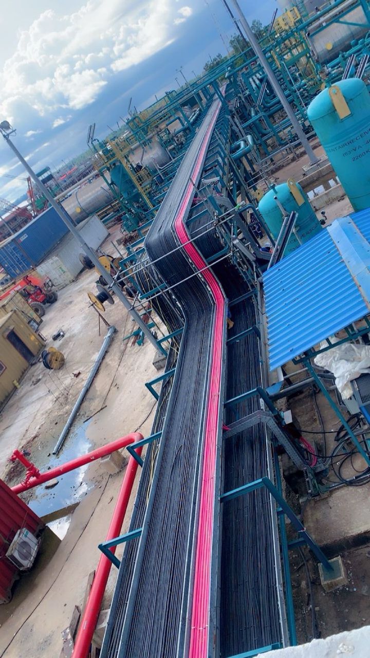 Jude Elswitch clientele site photo 2