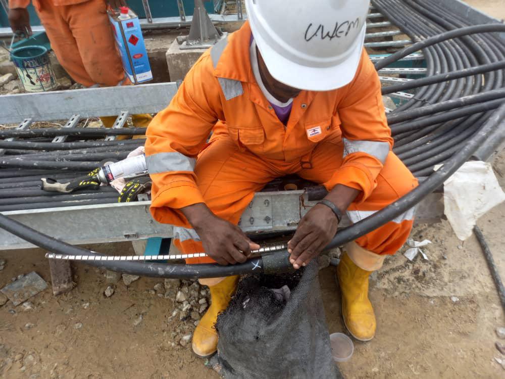 Jude Elswitch work photo 8