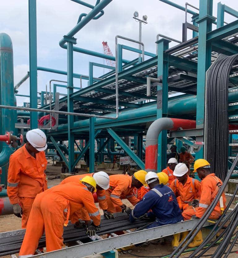 Jude Elswitch work photo 13